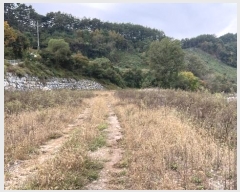  2024Ÿ��1741  �����