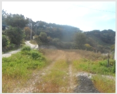  2024Ÿ��1741  �����