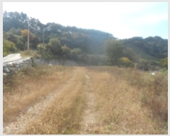  2024Ÿ��1741  �����