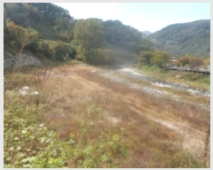  2024Ÿ��1741  �����