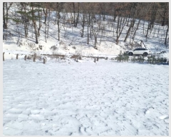  2024Ÿ1956  â ɸ Ⱦ踮 688-5      ()