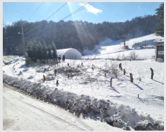  2024Ÿ1956  â ɸ Ⱦ踮 688-5      ()