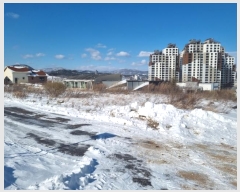  2024Ÿ1956  â ɸ Ⱦ踮 688-5      ()