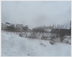  2024Ÿ1956  â ɸ Ⱦ踮 688-5      ()