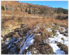  2024Ÿ��2034 ���� ��â�� �渲�� �渲�� ��717      ����(�Ӿ�)���