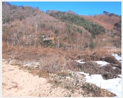  2024Ÿ��2034 ���� ��â�� �渲�� �渲�� ��717      ����(�Ӿ�)���