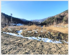  2024Ÿ��2034 ���� ��â�� �渲�� �渲�� ��717      ����(�Ӿ�)���