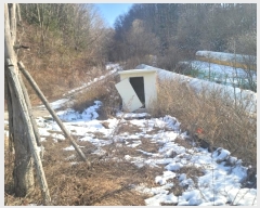  2024Ÿ2119  â  縮 110      (1)