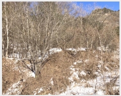  2024Ÿ2195  â ȭ  857-1      (1)