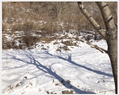  2024Ÿ2195  â ȭ  857-1      (1)