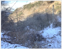  2024Ÿ2195  â ȭ  857-1      (1)