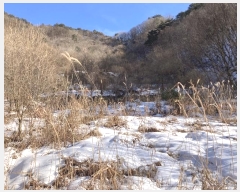  2024Ÿ2195  â ȭ  857-1      (1)