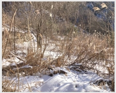  2024Ÿ2195  â ȭ  857-1      (1)