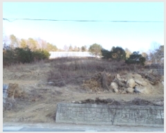  2024Ÿ��2225  �����