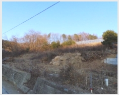  2024Ÿ��2225  �����