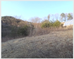  2024Ÿ��2225  �����