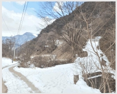  2024Ÿ2249     200      (1)