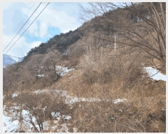  2024Ÿ2249     200      (1)