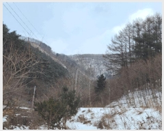  2024Ÿ2249     200      (1)