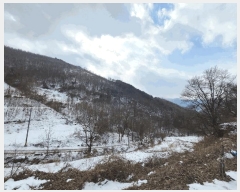  2024Ÿ2249     200      (1)