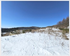  2024Ÿ2270  â ɸ 긮 67      (Ӿ)