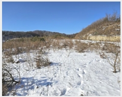  2024Ÿ2270  â ɸ 긮 67      (Ӿ)