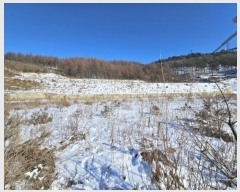  2024Ÿ2270  â ɸ 긮 67      (Ӿ)