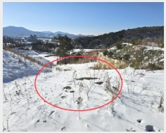  2024Ÿ2270  â ɸ 긮 67      (Ӿ)