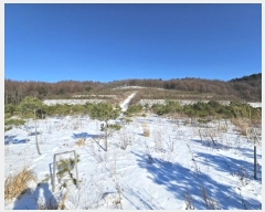  2024Ÿ2270  â ɸ 긮 67      (Ӿ)