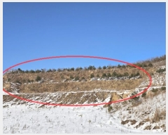  2024Ÿ2270  â ɸ 긮 67      (Ӿ)