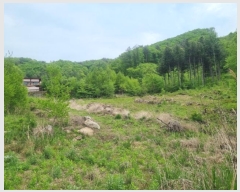  2024Ÿ��31292  �Ӿ߰��