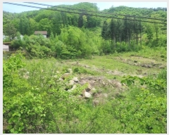  2024Ÿ��31292  �Ӿ߰��