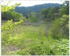  2024Ÿ��31292  �Ӿ߰��