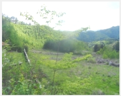  2024Ÿ��31292  �Ӿ߰��