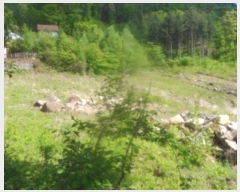  2024Ÿ��31292  �Ӿ߰��