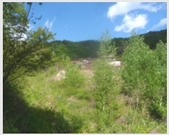  2024Ÿ��31292  �Ӿ߰��