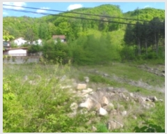  2024Ÿ��31292  �Ӿ߰��