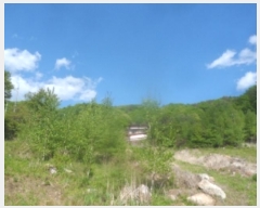  2024Ÿ��31292  �Ӿ߰��