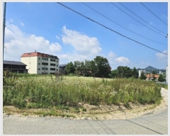  2024Ÿ32080  â ɸ Ⱦ踮 279-93      ()