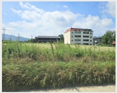  2024Ÿ32080  â ɸ Ⱦ踮 279-93      ()