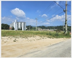  2024Ÿ32080  â ɸ Ⱦ踮 279-93      ()