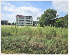  2024Ÿ32080  â ɸ Ⱦ踮 279-93      ()