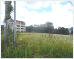  2024Ÿ32080  â ɸ Ⱦ踮 279-93      ()