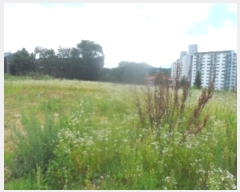  2024Ÿ32080  â ɸ Ⱦ踮 279-93      ()