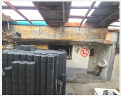  2024Ÿ32585     290-24      ð