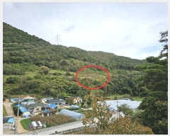  2024Ÿ32851    ϸ 358      (1)