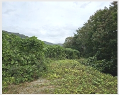  2024Ÿ32851    ϸ 358      (1)