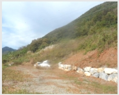  2024Ÿ32851    ϸ 358      (1)