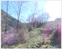  2024Ÿ33120   ȭϸ ȭϸ 486-3      (1)