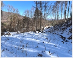  2024Ÿ��33281 ���� ��â�� ����� ���̸� ��107-35      ����(�Ӿ�)���